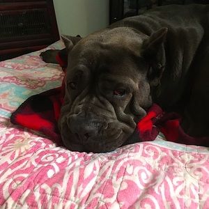 Meet your Posher, Mayra